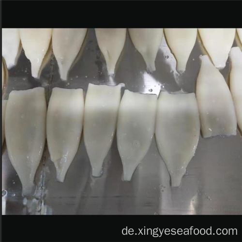Gefrorene Tintenfischprodukte Illex Argentinus Squid Tubes